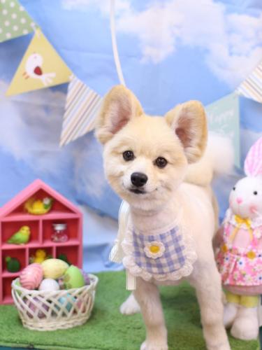 20240321ぽんずくん